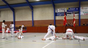 Taekwondo duel