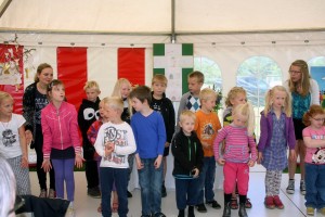 Sommerfest