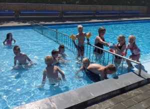 Bjørne i poolen
