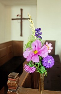 IMG_5260 bl