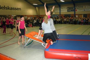 Gymnastikopvisning 2015