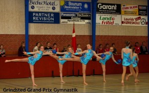 Gymnastikopvisning 2015