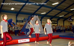 Gymnastikopvisning 2015