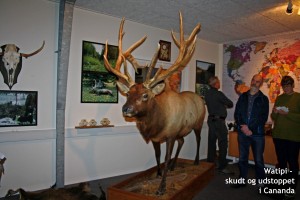 IMG_0530 tel
