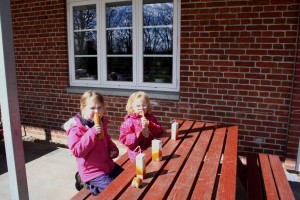 IMG_0986 l