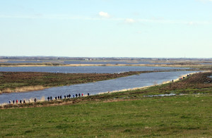 Pilgrimsvandring 2015