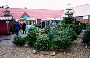 Juletur med husholdningsforeningen