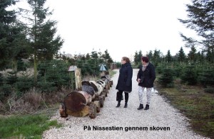Juletur med husholdningsforeningen