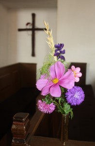 IMG_5260 b