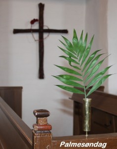 IMG_4276 txt b