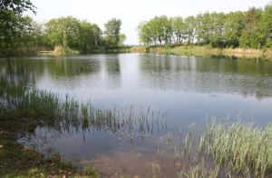 Teglværkssøen