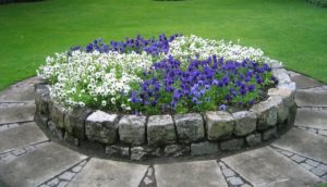 Blomsterpragt i stensætning'
