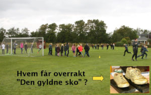 Motionsløb 2016