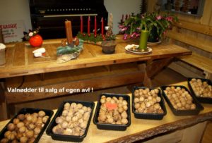 Jul hos Lynggaards 2016